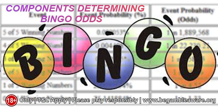 bingo odds