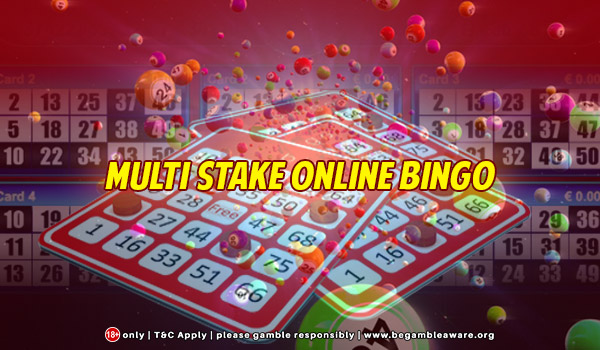 What is Multi-Stake Online Bingo image